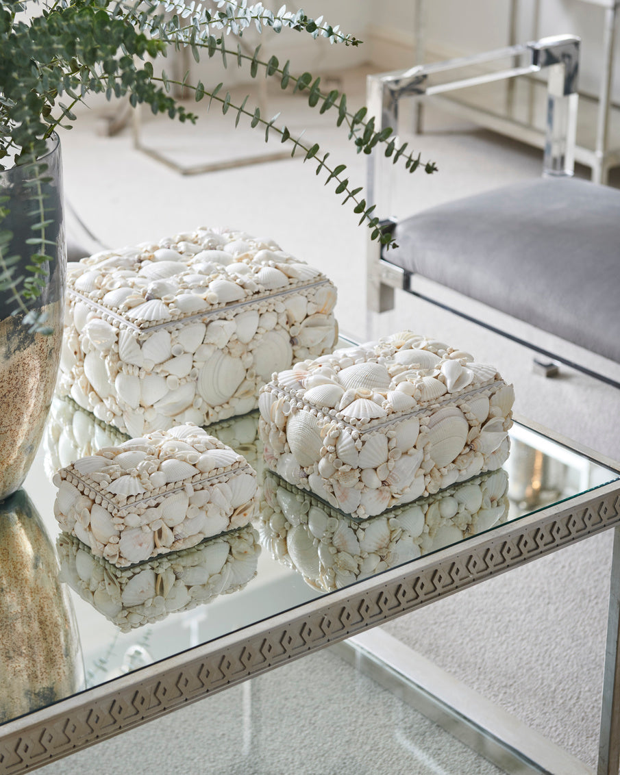 White Shell Boxes (S3) in display