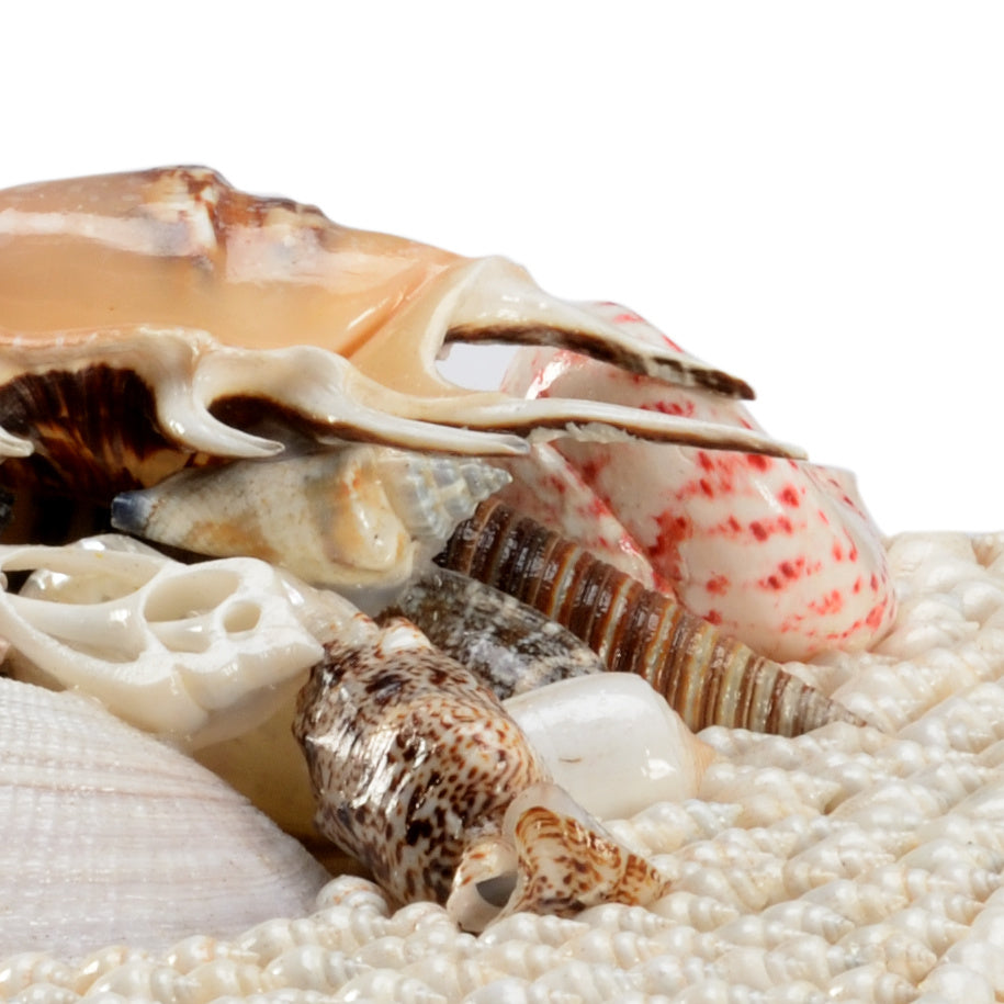 White Shell Boxes (S2) detail