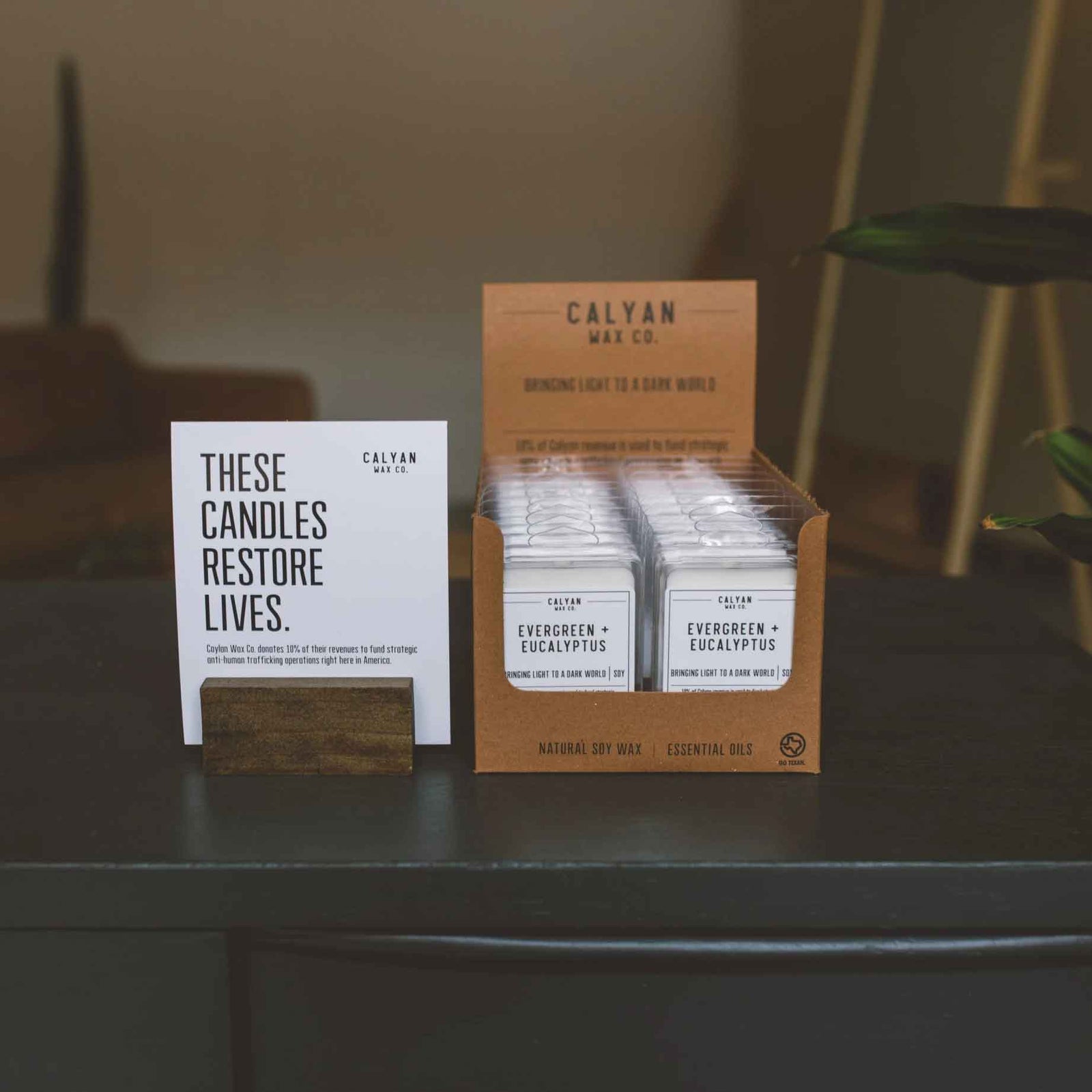 Wax Melts Package of 6 cubes Desert + Agave Scent Calyan Wax Co. Retail Presentation