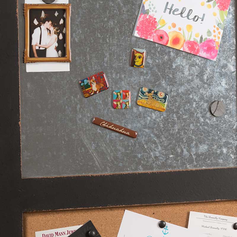 Chihuahua Magnet Set with 6 magnets featuring artwork of Gretchen Kish Serrano on metal wall