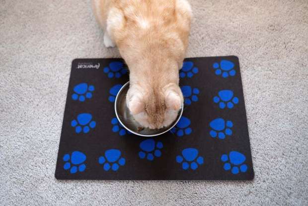 Paw Prints Cat Placemat is eco-friendly