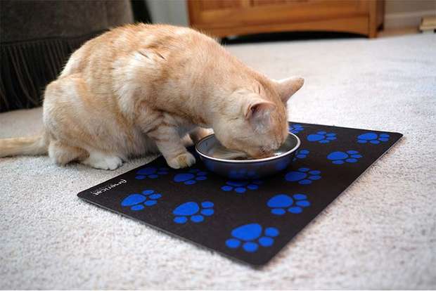 Paw Prints Cat Placemat