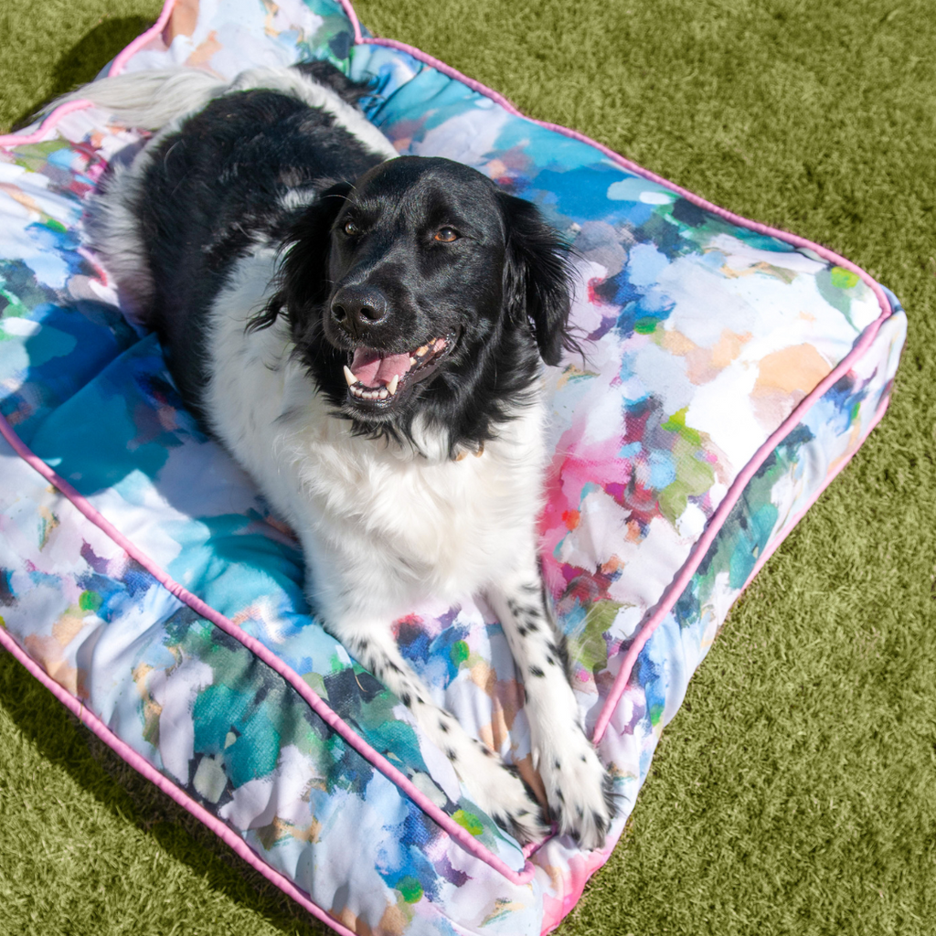 Wags and whiskers dog bed hot sale