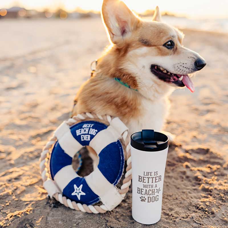 Beach Dog Canvas Chew Toy lifestyle image with Corgi