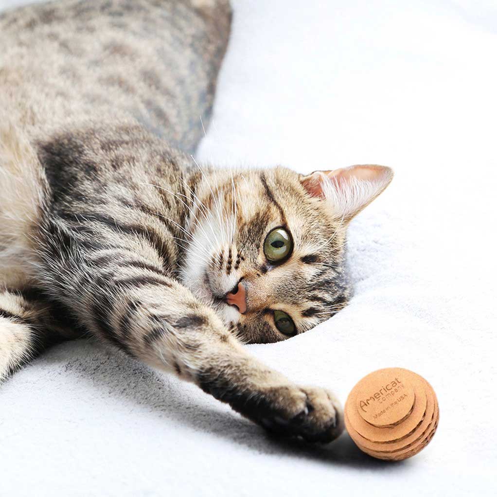 Cat Toy Balls, 3-Pack will entertain your cats