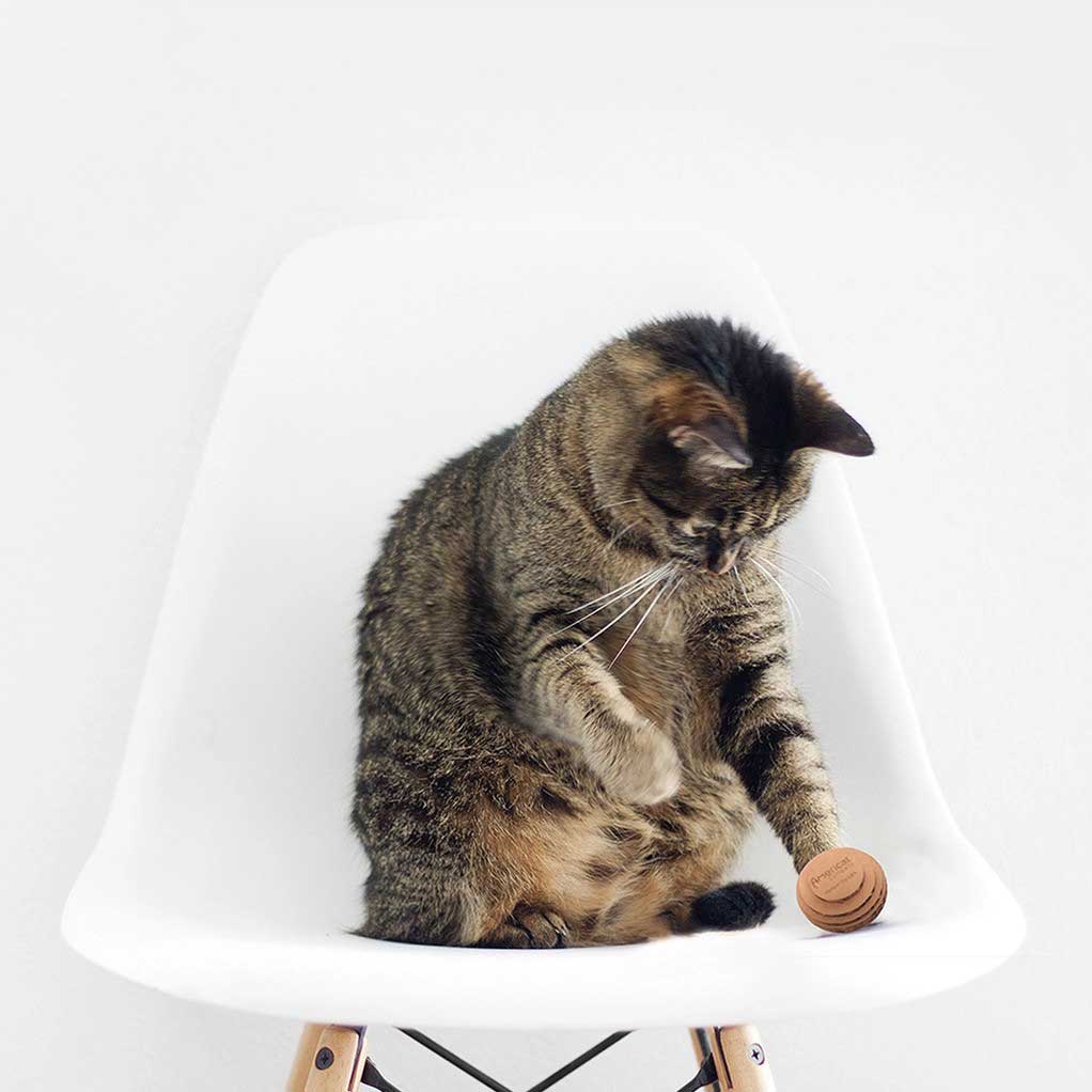 Cat Toy Balls are safe for your cat and the environment