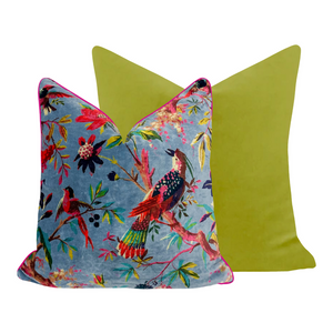 Rajmahal Velvet Throw Pillow has a complementary solid back