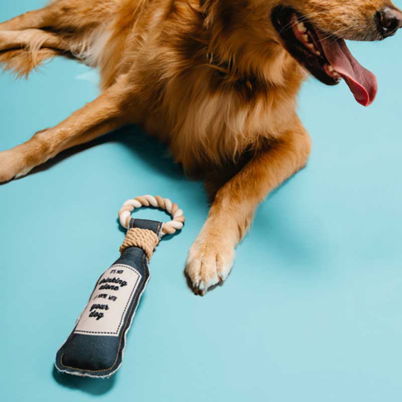 Drinking Alone Dog Chew Toy lifestyle image