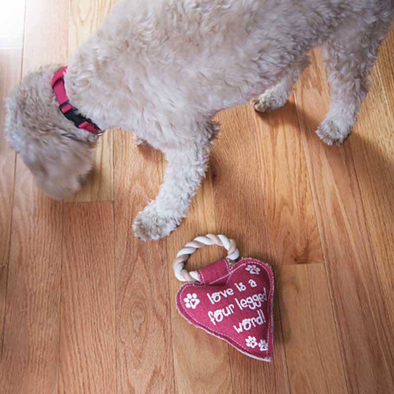 Love Heart Shaped Chew Toy is perfect for dogs of all sizes