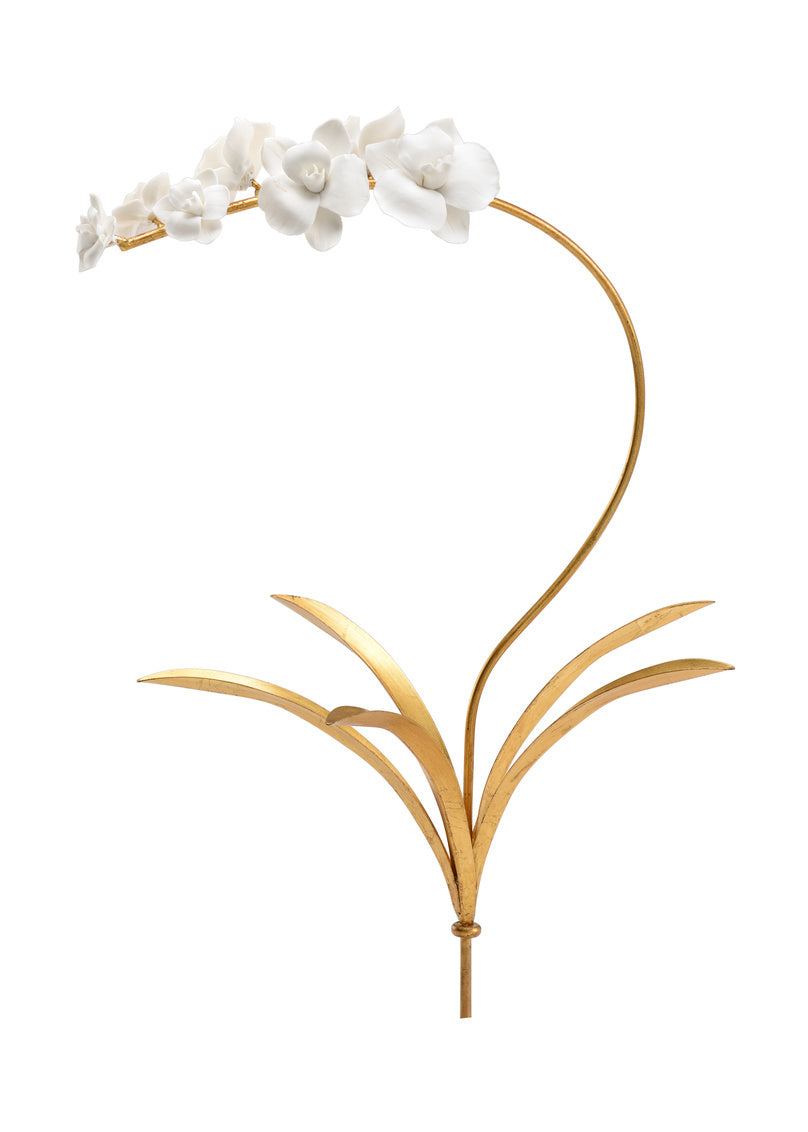 Orchid Stem - Medium