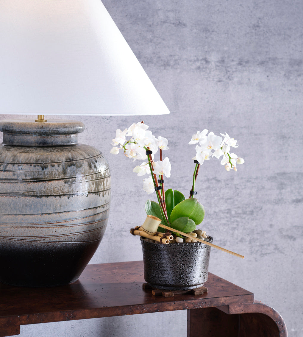 Shokubutsu Kuro Vessel lifestyle image