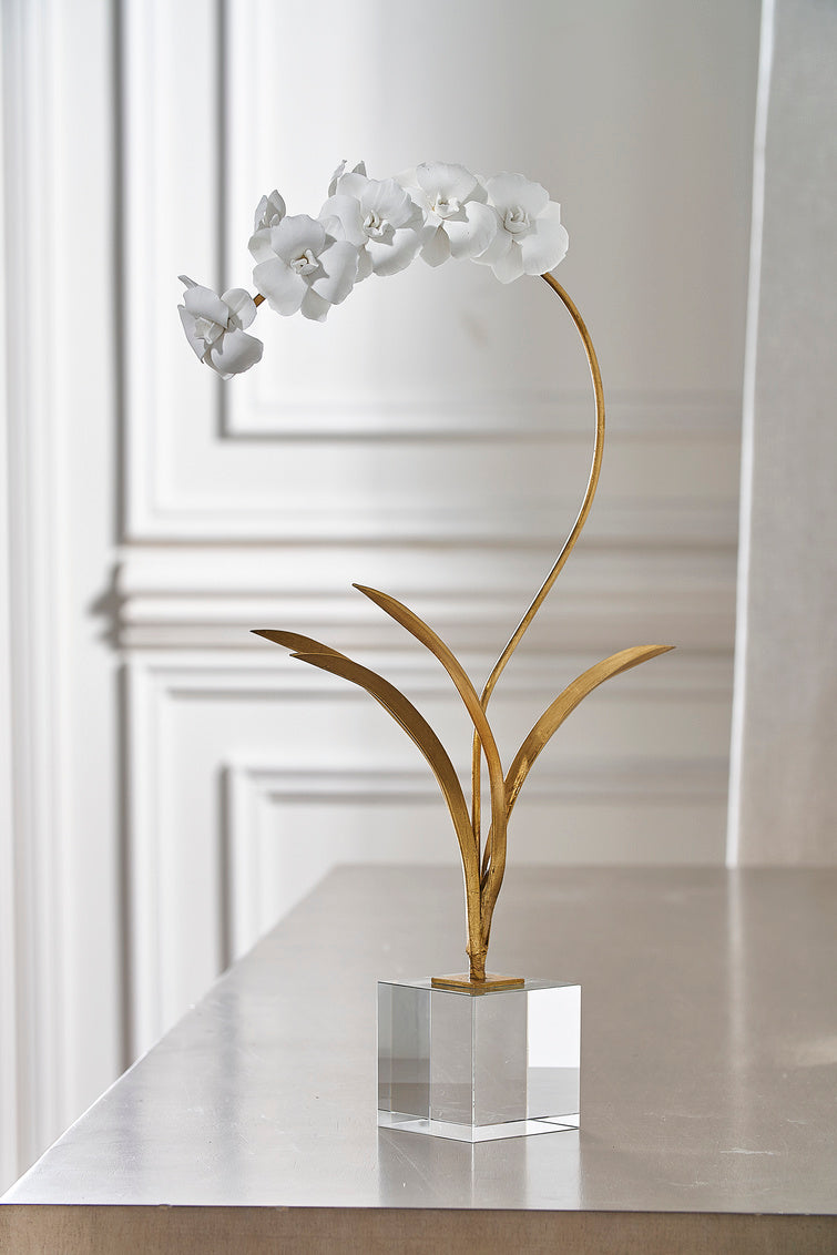 Small Orchid on Stand lifestyle setting