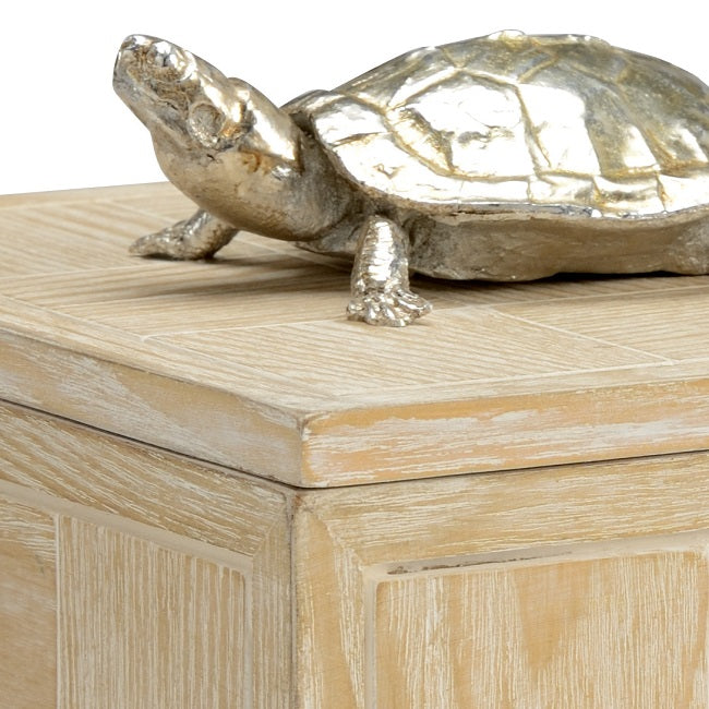 Tortoise Box - Large