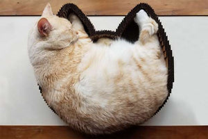 Cat Scratcher Bed in shape of cat head