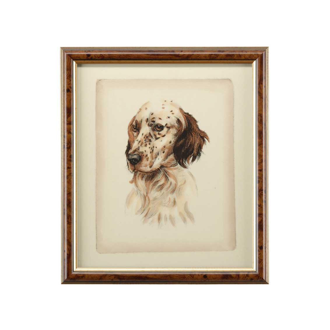 Danchin Setter Hand Colored Print Brown and Gold Frame