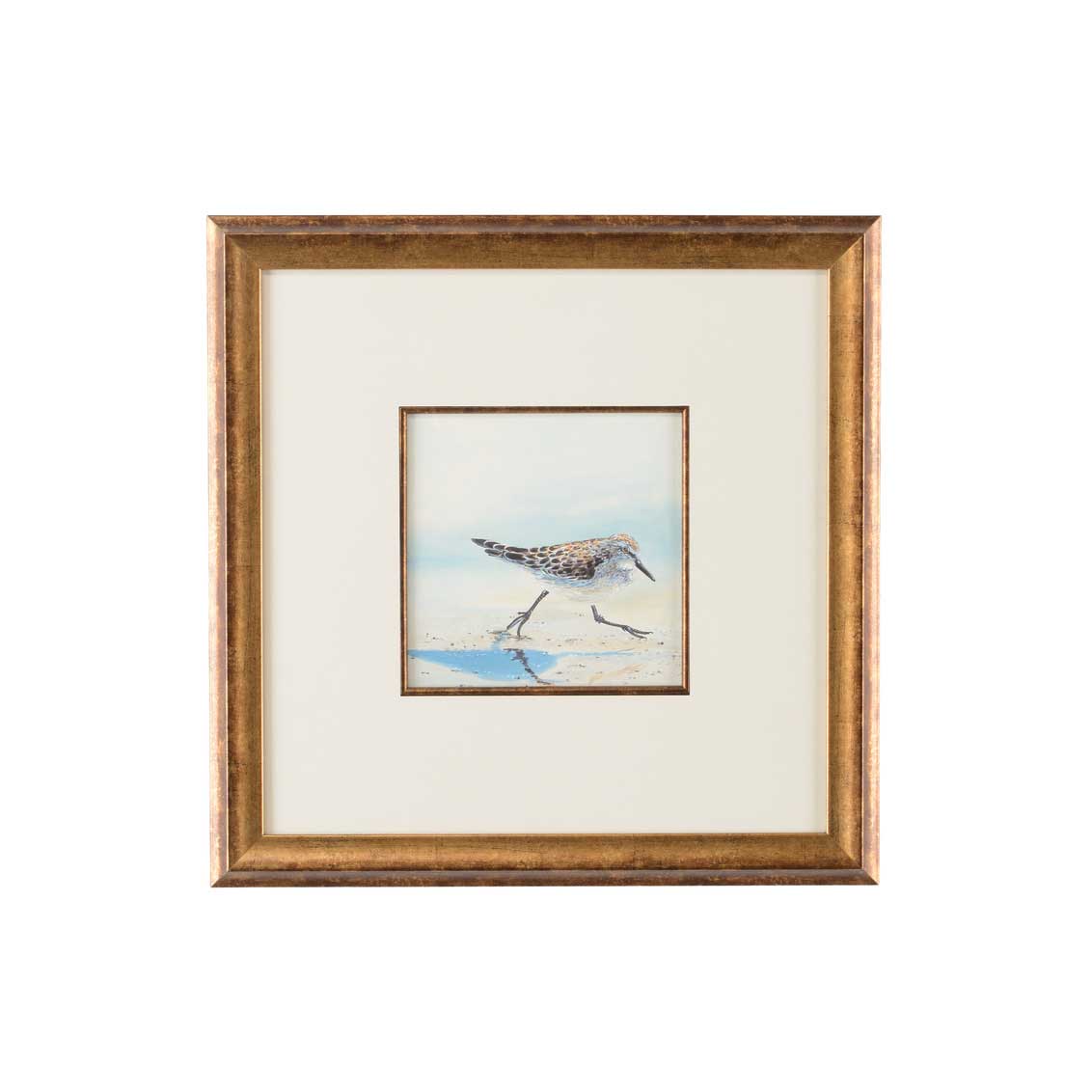 Lisa Kahn Collection Sand Piper IV watercolor print