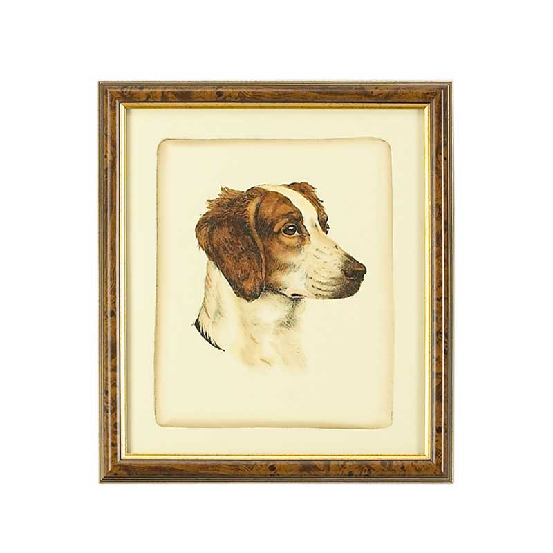 Danchin Brittany Spaniel Hand Colored Print Brown and Gold Frame