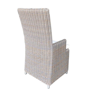 Nico Outdoor Arm Dining Chair Padma's Plantation Back View