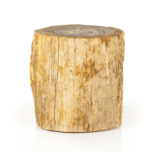 Riker End Table - Light Petrified Wood front view