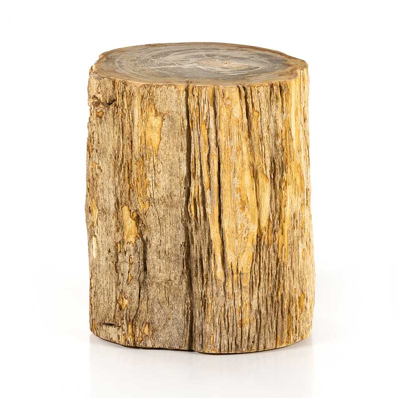 Riker End Table - Light Petrified Wood, each piece is unique
